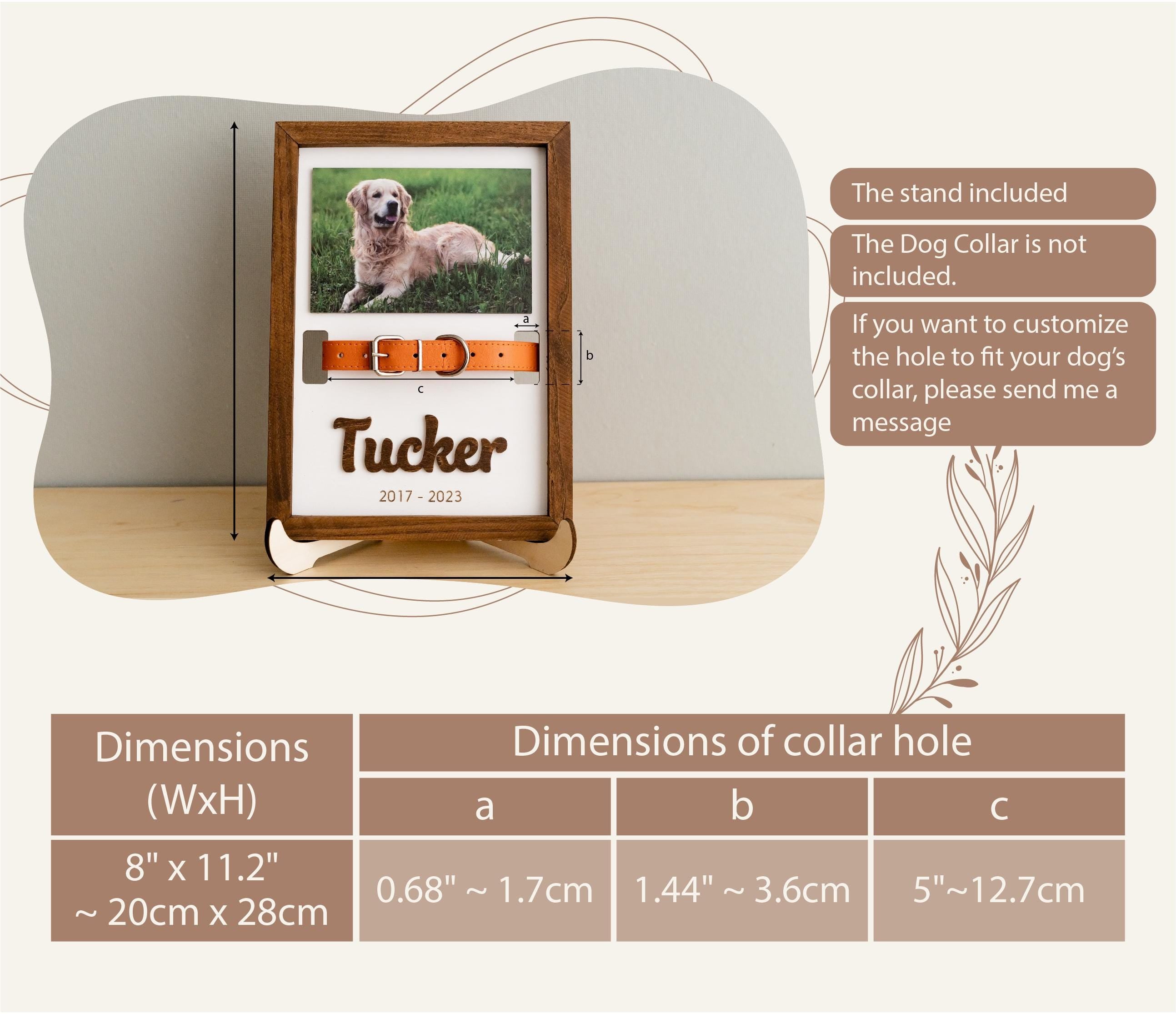 Pet Memorial Collar Holder, Remembrance Frame, Pet Memorial Picture, Gift For Pet Loss, Cat Memorial, Dog Collar Holder