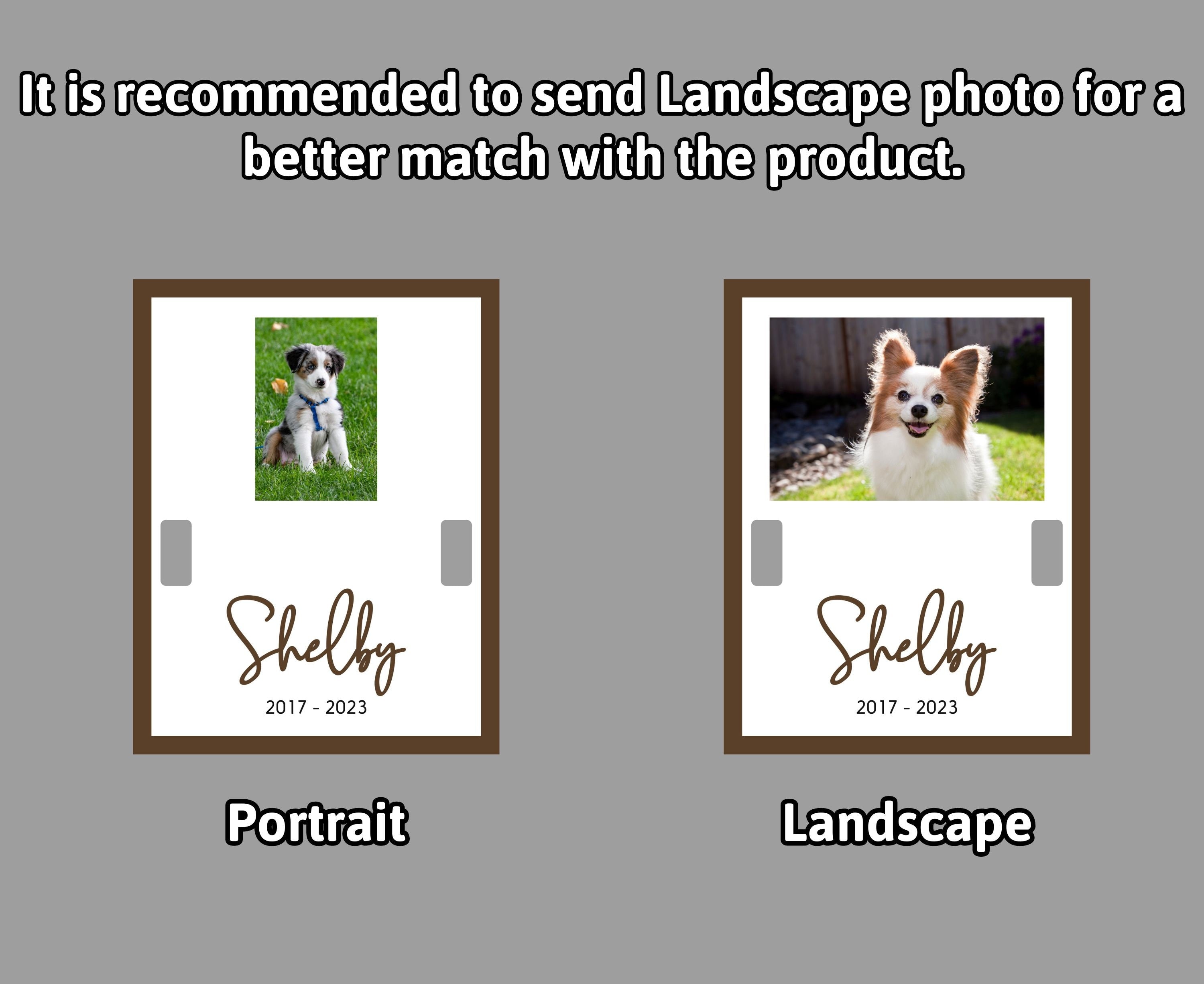 Pet Memorial Collar Holder, Remembrance Frame, Pet Memorial Picture, Gift For Pet Loss, Cat Memorial, Dog Collar Holder