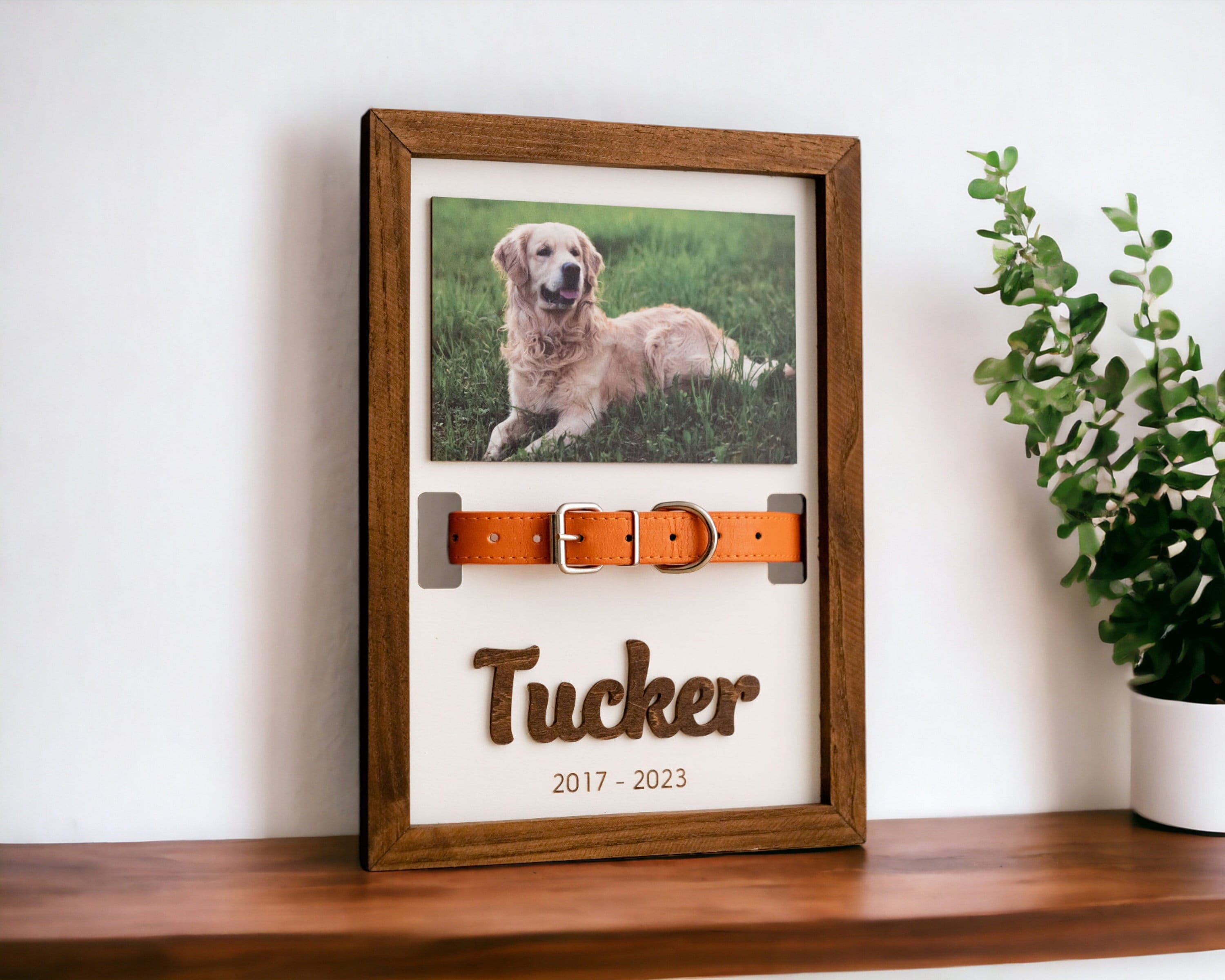 Pet Memorial Collar Holder, Remembrance Frame, Pet Memorial Picture, Gift For Pet Loss, Cat Memorial, Dog Collar Holder